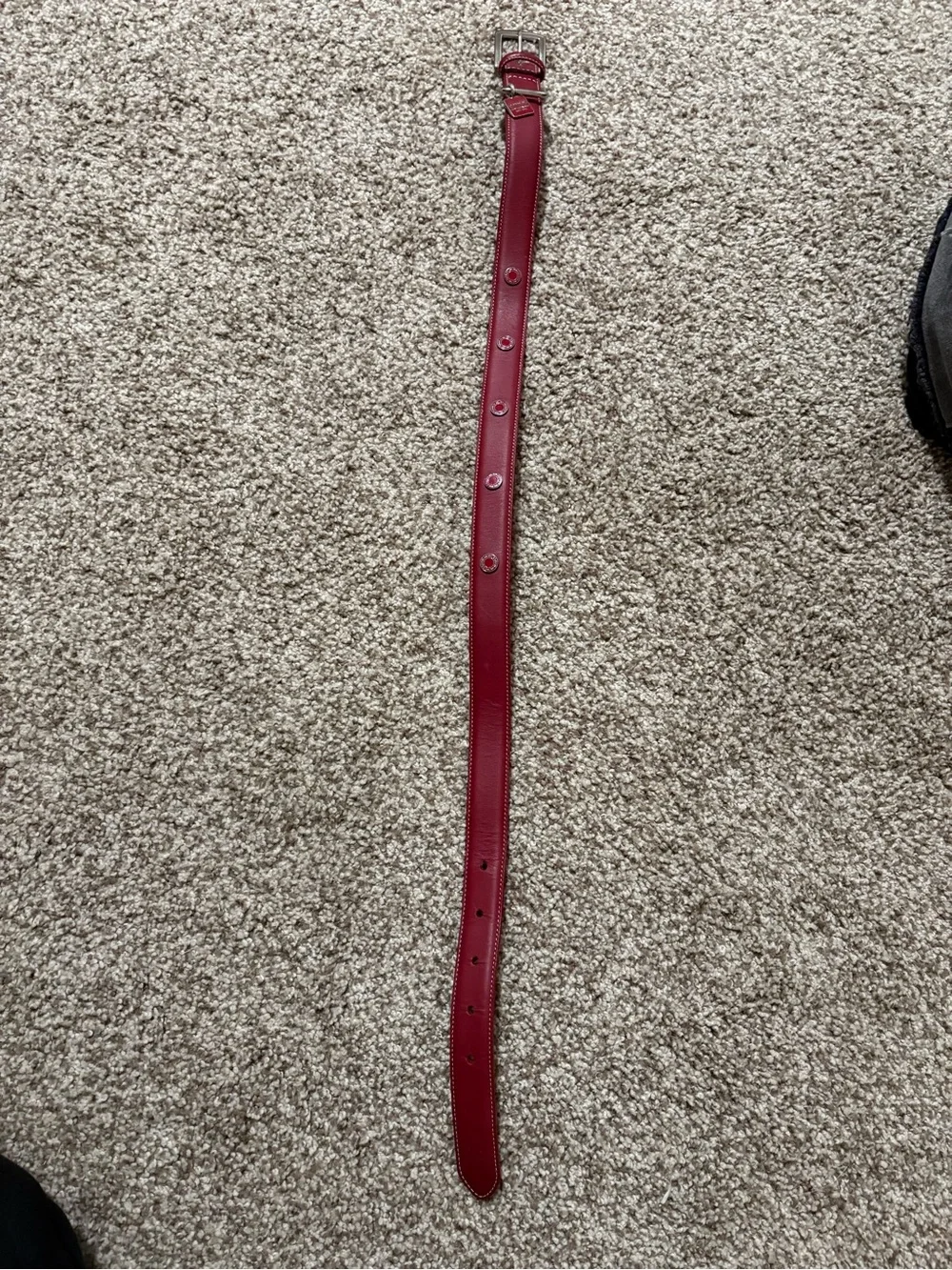 Red Leather Coach dog collar